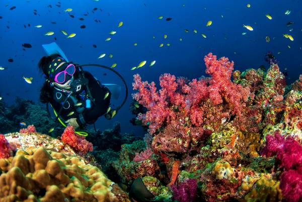 Thaise onderwaterwereld