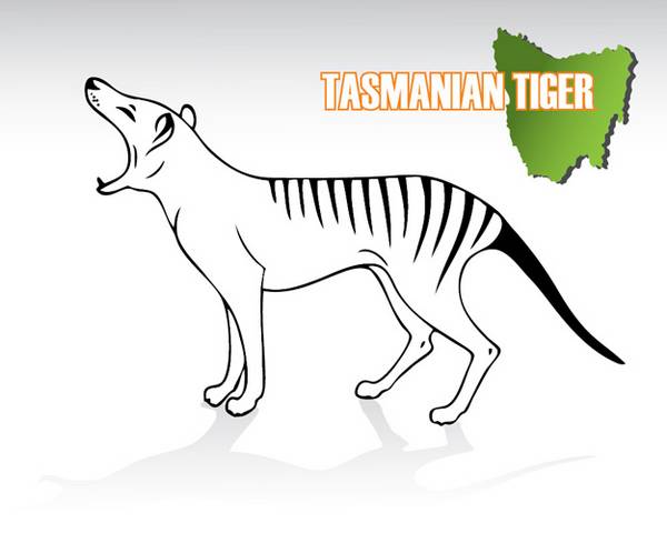 Tasmaanse tijger