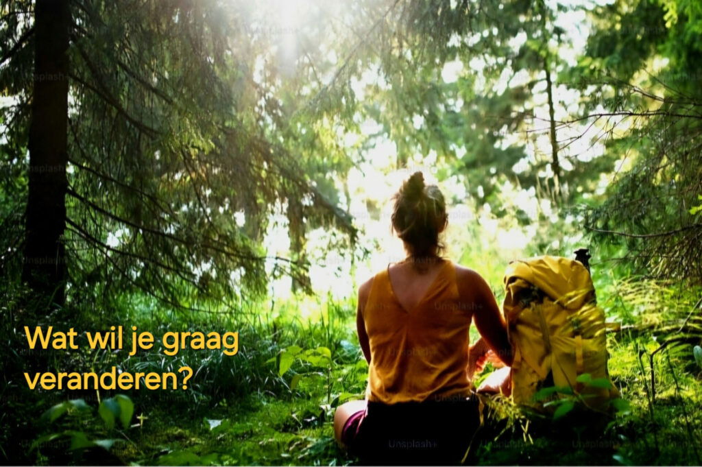 op avontuur in het bos