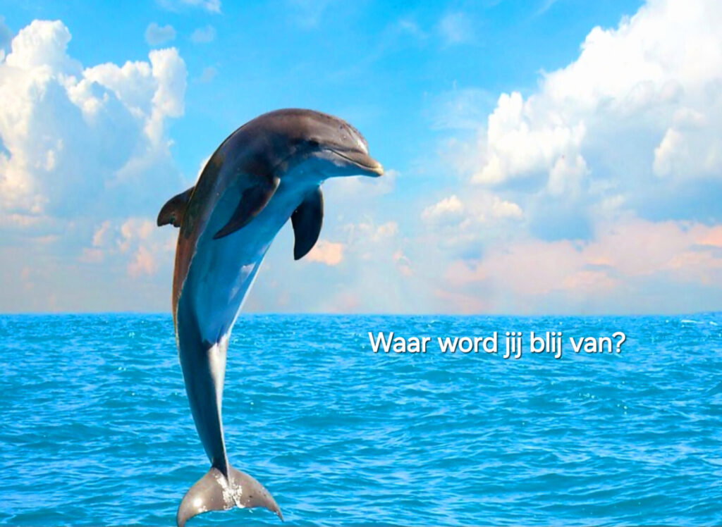 Dolfijn boven azuur blauw water