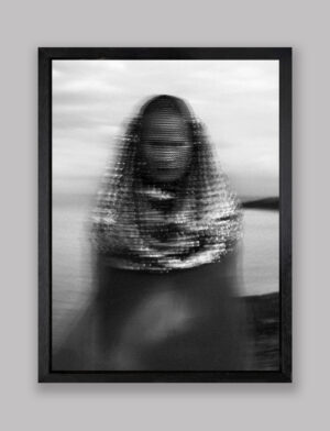 Where the Horses Roam