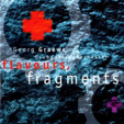 1994 Flavours Fragments