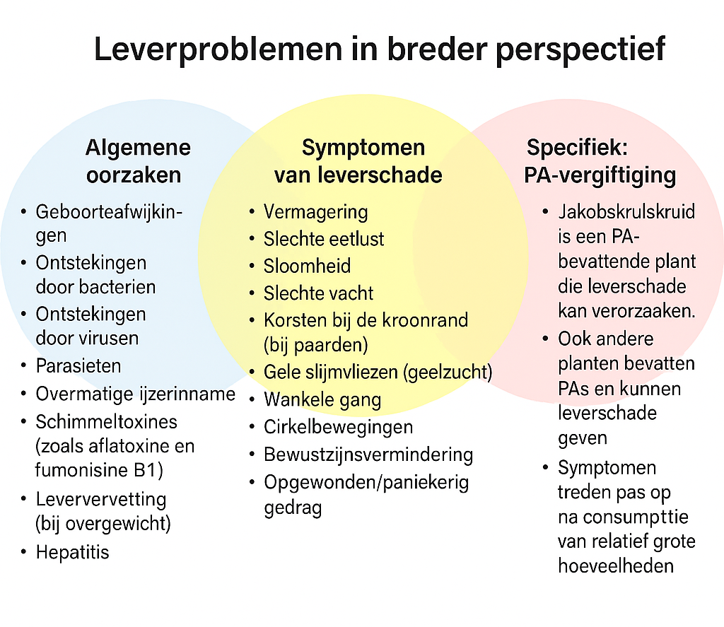 Jakobskruiskruid en leverproblemen bij paarden in breder perspectief.