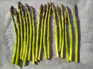 Groene asperges op bakpapier