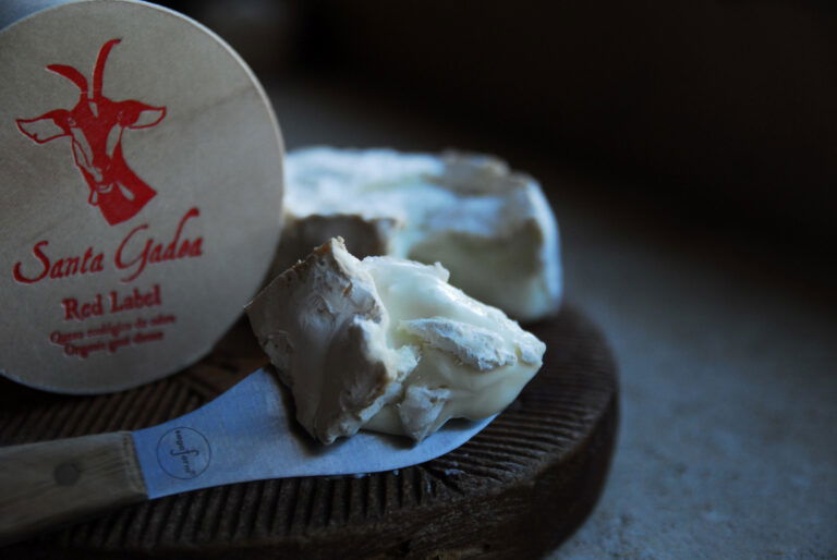 Santa Gadea Red Label Organic Goat Chees
