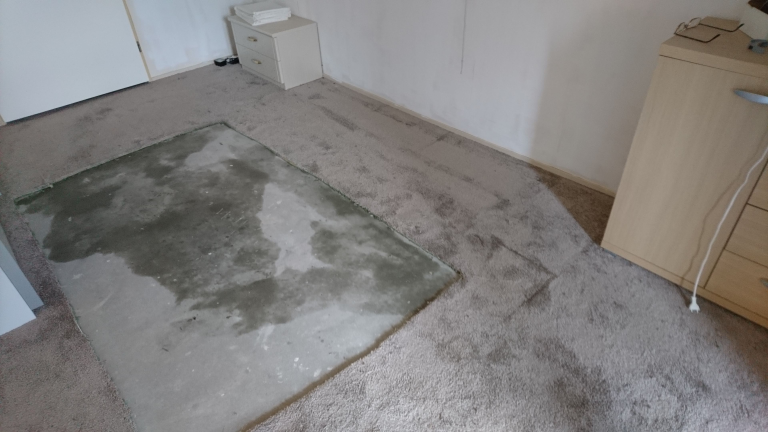 Schoonmaak na een onopgemerkt overlijden
