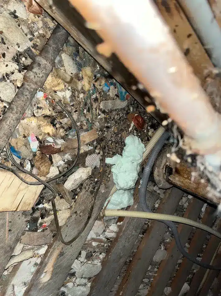 Rattennest onder de vloer van een woning dat specialistisch is schoongemaakt