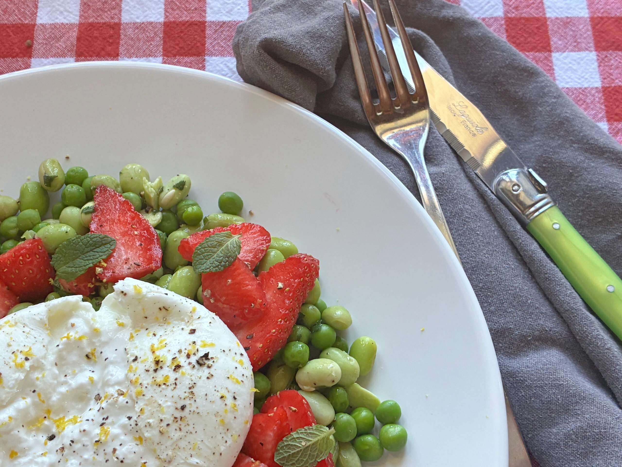 bonensalade met burrata