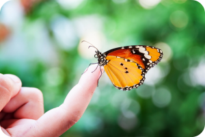 Oranje vlinder op vinger met groene achtergrond