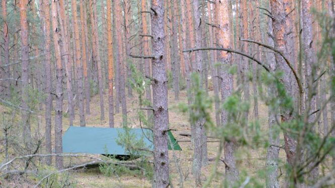 Bushmen Ultra Tarp - Image 6