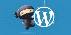 problemen-update-woocommerce-3