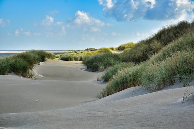 dunes-netherlands-workation