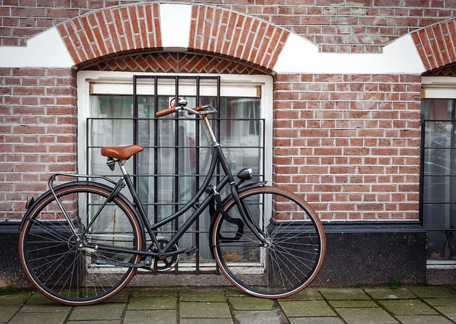 netherlands-workation-bike